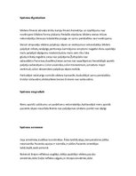 Paraugs 'Akadēmiskā slimības vēsture pediatrijā', 6.