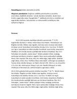 Paraugs 'Akadēmiskā slimības vēsture pediatrijā', 10.