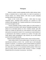 Referāts 'Nepilngadīgo noziedzība - jēdziens, saturs un raksturojums Latvijā', 13.