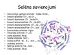 Referāts 'Selēns', 26.