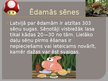 Prezentācija 'Sēnes', 4.