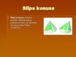 Prezentācija 'Konuss, cilindrs, lode', 5.