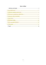 Biznesa plāns 'SIA "IT Team"', 2.