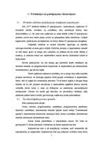 Biznesa plāns 'SIA "IT Team"', 7.