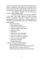 Biznesa plāns 'SIA "IT Team"', 8.