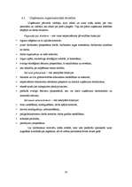 Biznesa plāns 'SIA "IT Team"', 10.