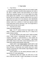 Biznesa plāns 'SIA "IT Team"', 11.