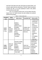 Biznesa plāns 'SIA "IT Team"', 12.