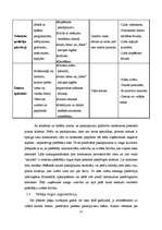 Biznesa plāns 'SIA "IT Team"', 13.