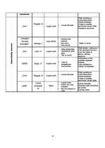 Biznesa plāns 'SIA "IT Team"', 16.