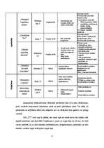 Biznesa plāns 'SIA "IT Team"', 17.