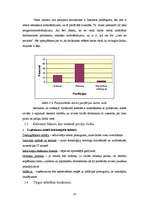 Biznesa plāns 'SIA "IT Team"', 18.