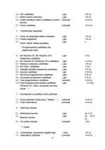 Biznesa plāns 'SIA "IT Team"', 22.