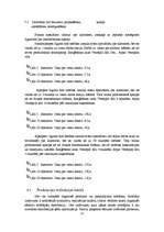 Biznesa plāns 'SIA "IT Team"', 23.