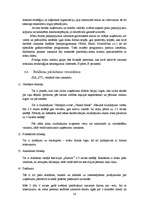 Biznesa plāns 'SIA "IT Team"', 24.