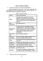 Biznesa plāns 'SIA "IT Team"', 26.