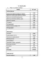 Biznesa plāns 'SIA "IT Team"', 28.