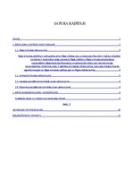 Referāts 'Brīvās ekonomiskās zonas Latvijā', 1.