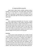 Referāts 'Kokaudzētavas', 9.