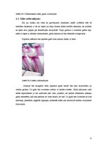 Prakses atskaite 'Viesu apkalpošana', 11.