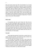 Referāts 'Salvadors Dalī', 14.