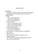 Referāts 'Nevalstiskās organizācijas', 16.