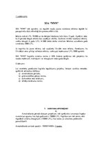 Konspekts 'Ekonomikas uzdevumi', 13.