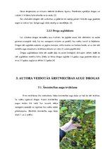 Referāts 'Ārstniecības augi Ventspils novadā', 13.