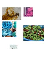 Konspekts 'Krāsu uztvere', 11.