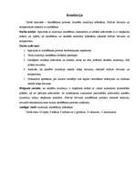 Referāts 'Alumīnija anodēšana', 2.