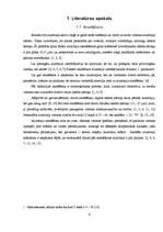 Referāts 'Alumīnija anodēšana', 6.