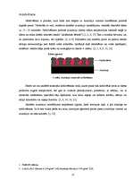 Referāts 'Alumīnija anodēšana', 13.