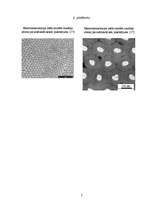 Referāts 'Alumīnija anodēšana', 28.