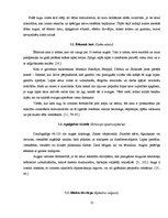 Referāts 'Augi - šūnas enerģijas atbrīvošanās stimulatori, to ietekme uz organismu', 13.