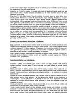 Referāts 'Vulkāni', 2.