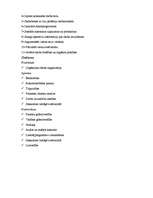 Referāts 'Grāmatveža amata apraksts', 5.