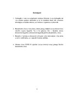 Referāts 'Bezdarbs Latvijā 2020.gadā', 9.