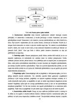 Referāts 'Uzņēmējdarbības stratēģija', 16.