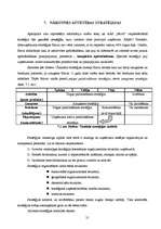 Referāts 'Uzņēmējdarbības stratēģija', 21.