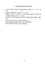 Referāts 'Uzņēmējdarbības stratēģija', 24.