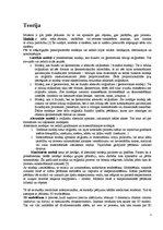 Konspekts 'Modeļi', 3.