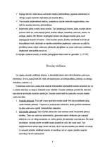 Referāts 'Stunda kā viena no mācību pamatformām', 8.