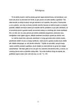 Referāts 'Stunda kā viena no mācību pamatformām', 11.