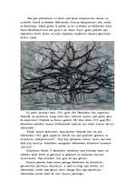 Referāts 'Pīts Mondriāns', 5.