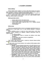 Referāts 'Budžets', 6.