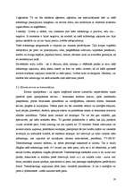 Referāts 'Klienta skaita palielināšanas iespējas', 19.