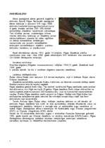 Konspekts 'Zooloģiskie dārzi', 3.