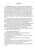 Eseja 'Sociālpedagoģiskā intervence pēc filmas "Zaglis" motīviem', 3.