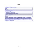 Biznesa plāns 'SIA "LP" biznesa plāns', 2.