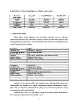 Biznesa plāns 'SIA "LP" biznesa plāns', 7.